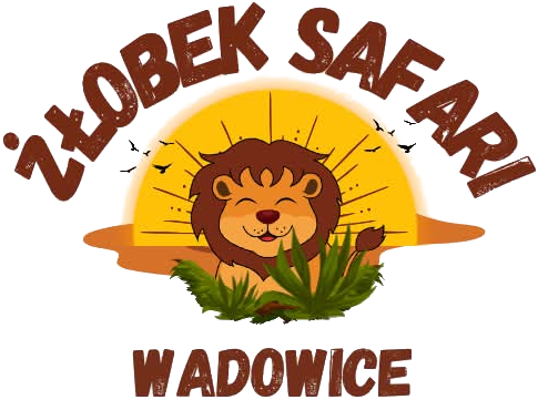 Safari Niepubliczny Żłobek