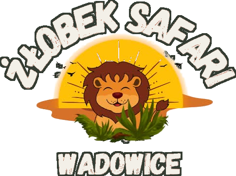 Safari Niepubliczny Żłobek